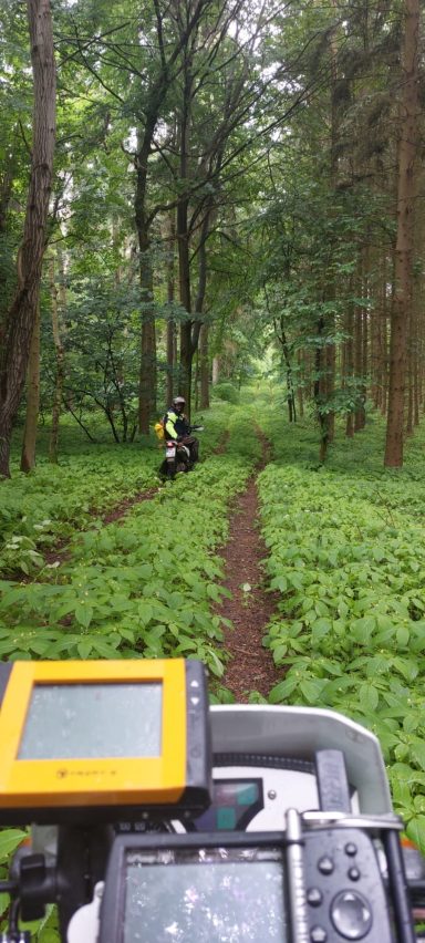 Endurowandernin Brandenburg durch den Wald