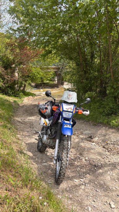 Und wieder eine schöner Forstweg