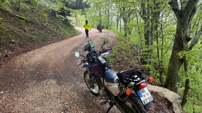 Ein Motorrad steht auf einem Waldweg, während zwei Personen am Weg weitergehen.